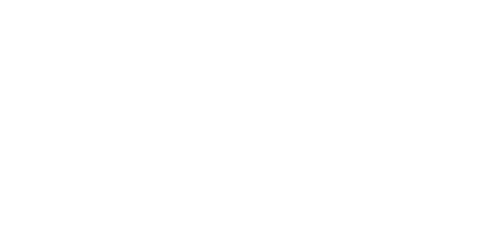 Summit Wealth Management